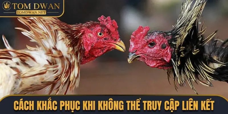 Link Đá Gà Uy Tín, Chất Lượng Nhất Trên Thị Trường 4 Cách khắc phục khi không thể truy cập vào liên kết