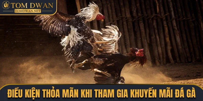 Khuyến Mãi Đá Gà Siêu Hot Săn Quà Khủng Nóng Bỏng Tay 1 Điều kiện cần thỏa mãn khi săn thưởng đá gà