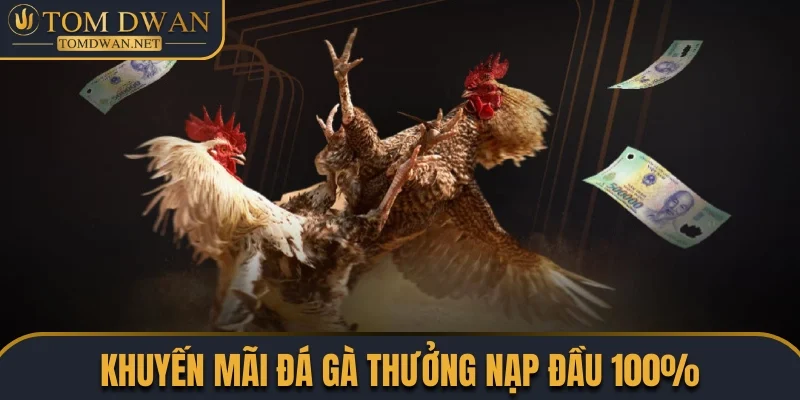 Khuyến Mãi Đá Gà Siêu Hot Săn Quà Khủng Nóng Bỏng Tay 2 Khuyến mãi đá gà thưởng nạp đầu cho người mới