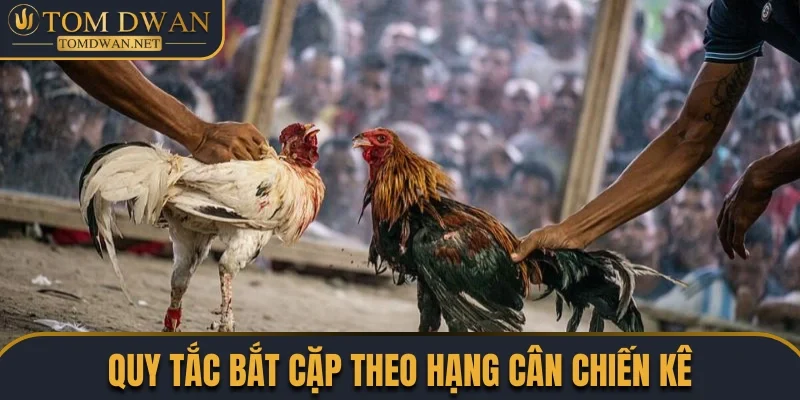 Toàn Tập Các Sản Phẩm Đá Gà Đặc Sắc Được Săn Đón Nhất 1 Quy tắc bắt cặp dựa theo chạng gà chi tiết